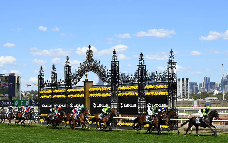 Networks Asked to Express Melbourne Cup Rights Interest