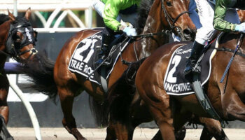 Tralee Rose on Familiar Melbourne Cup Road