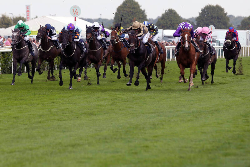 English and Irish St Legers Produce Mixed Results