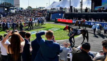 Sydney Could be Great Melbourne Cup Pointer
