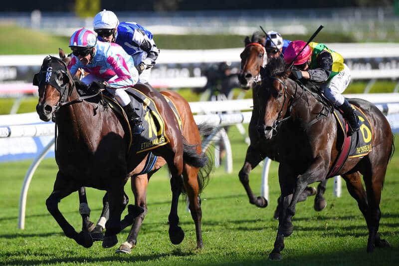 Sydney Cup Horse Race