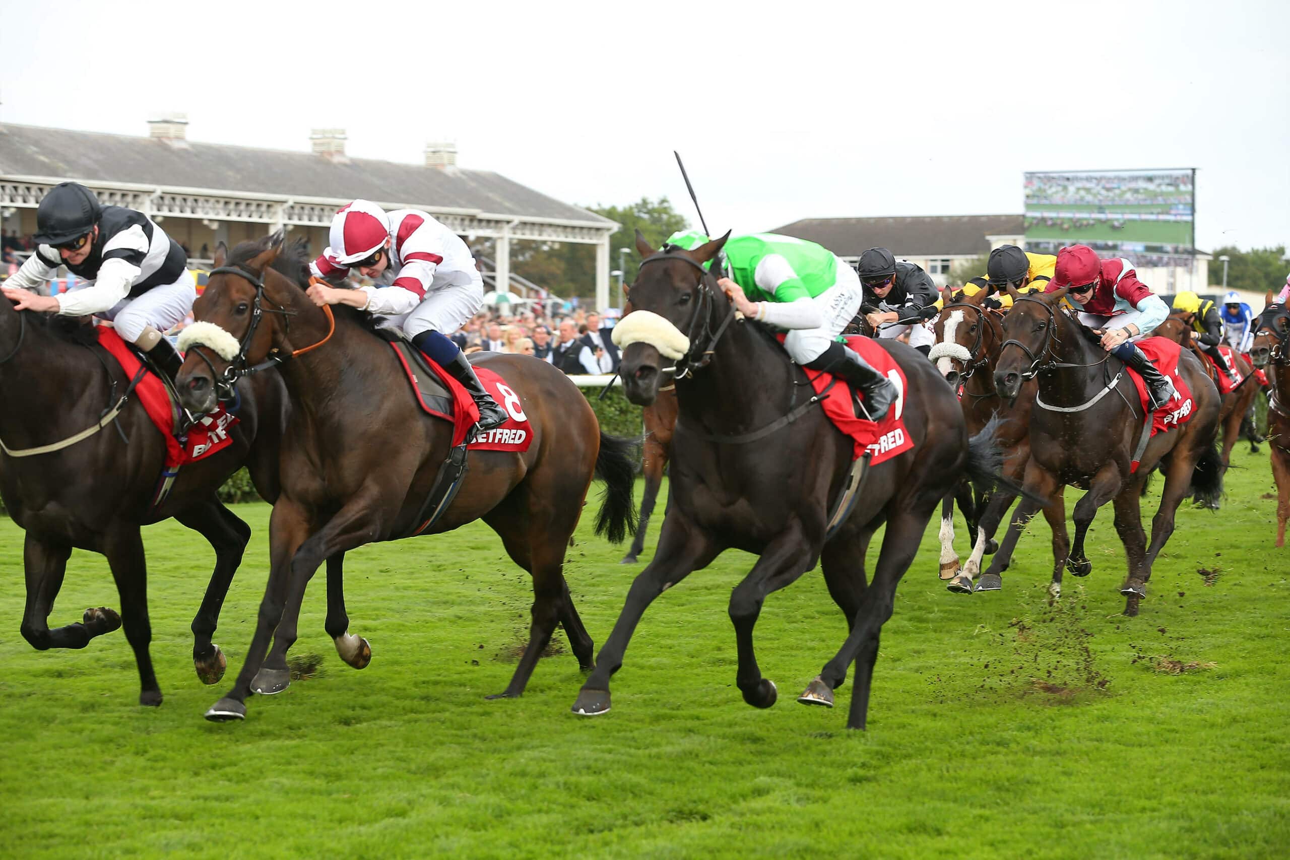 St Leger Recap: Horses on Target for the Cup